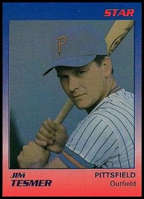 1989 Star Pittsfield Mets 28 Jim Tesmer